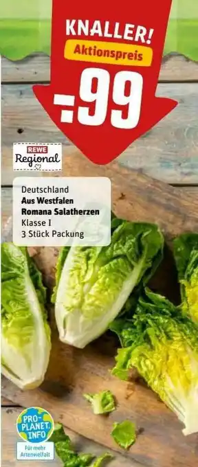 REWE Kaufpark Aus Westfalen Romana Salatherzen Angebot