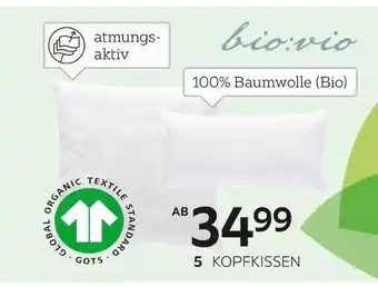 XXXLutz Bio:vio kopfkissen „matera“ Angebot