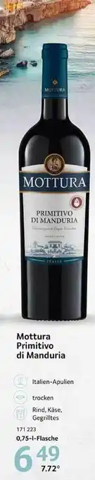 Selgros Mottura primitivo di manduria Angebot