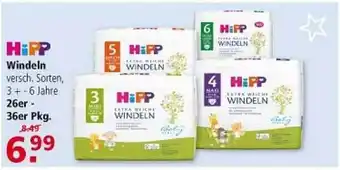 Multi Markt Hipp windeln Angebot