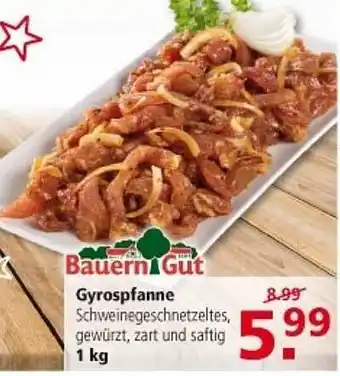 Multi Markt Bauern gut gyrospfanne Angebot