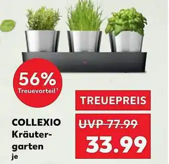 Kaufland Collexio kräutergarten Angebot