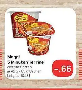 akzenta Maggi 5 minuten terrine Angebot