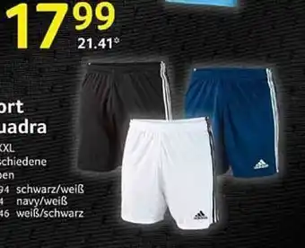 Selgros Sport quadra Angebot