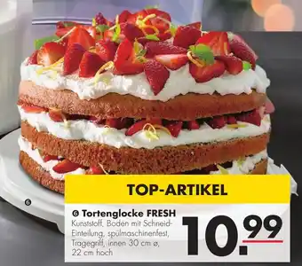 Handelshof rotho Tortenglocke Fresh Angebot