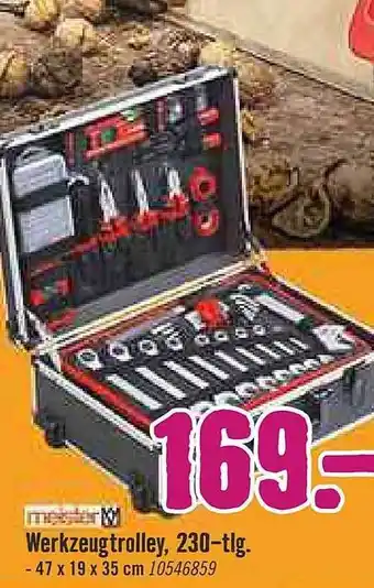 Hornbach Werkzeugtrolley, 230-tlg. Angebot