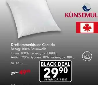 Matratzen Concord Dreikammerkissen canada Angebot