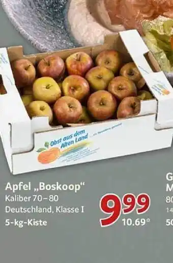 Selgros Apfel „boskoop“ Angebot