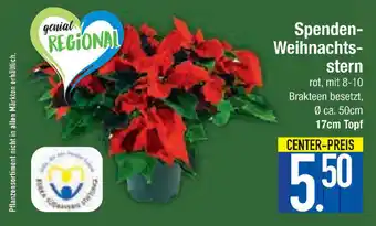 E-Center Spenden-Weihnachtsstern 17 cm Topf Angebot