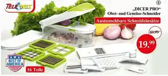 Woolworth Dicer Pro Obst und Gemüse Schneider Angebot