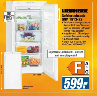 Expert Liebherr Gefrierschrank GNP 1913-22 Angebot