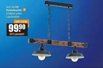 V Baumarkt Pendelleuchte Angebot