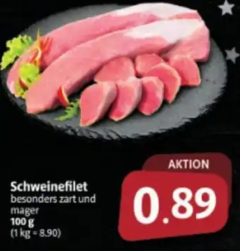 Markant Markt Schweinefilet 100 g Angebot