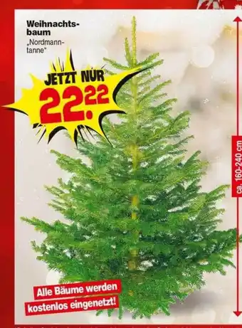 Repo Markt Weihnachtsbaum Angebot