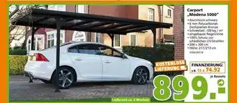 Globus Baumarkt Carport „modena 5000“ Angebot