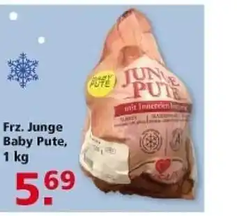 Multi Markt Junge baby pute Angebot