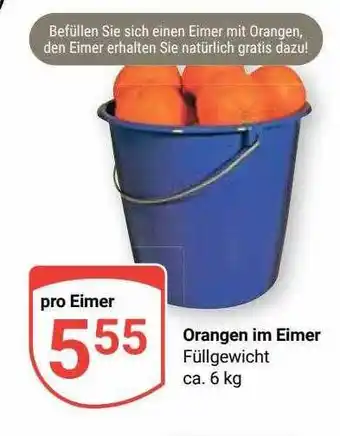 Globus Orangen im eimer Angebot