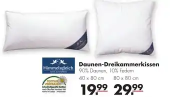 Handelshof Daunen Dreikammerkissen Angebot