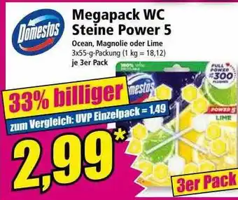 Norma Domestos megapack wc steine power 5 Angebot