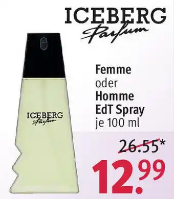Rossmann Iceberg Parfum Femme oder Homme EdT Spray 100 ml Angebot
