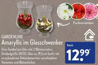 Aldi Nord Gardenline Amaryllis im Glasschwenker Angebot