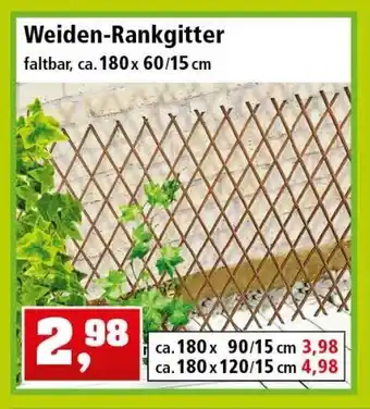 Thomas Philipps Weiden Rankgitter Angebot