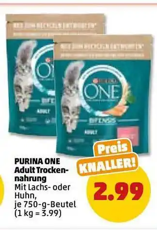 PENNY Purina one adult trockennahrung Angebot