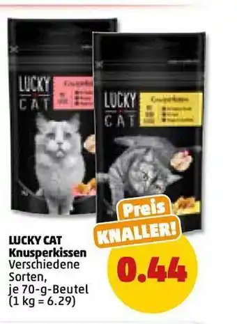 PENNY Lucky cat knusperkissen Angebot