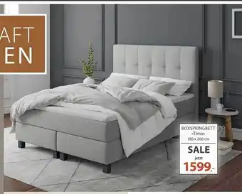 Knutzen Wohnen Boxspringbett timo Angebot