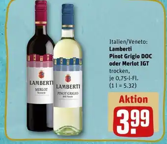 REWE Lamberti pinot grigio doc oder merlot igt Angebot