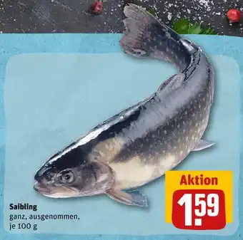 REWE Saibling Angebot
