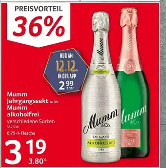 Selgros Mumm jahrgangssekt oder mumm alkoholfrei Angebot