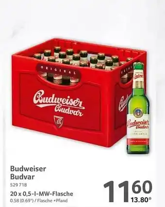 Selgros Budweiser budvar Angebot