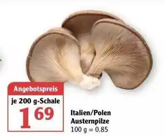 Globus Italien Polen Austernpilze 200g Angebot