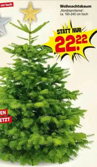 Repo Markt Weihnachtsbaum Angebot