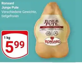 Globus Ronsard junge pute Angebot