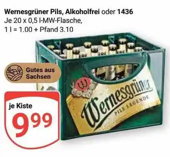 Globus Wernesgrüner pils, alkoholfrei oder 1436 Angebot