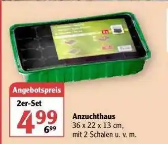 Globus Anzuchthaus Angebot