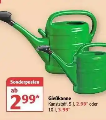 Globus Gießkanne Angebot