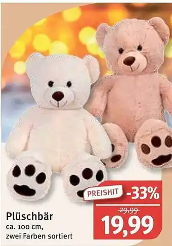 Feneberg Plüschbär Angebot