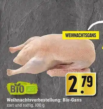 Scheck-in-Center Bio-gans Angebot