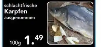 Multi Markt Schlachtfrische karpfen Angebot