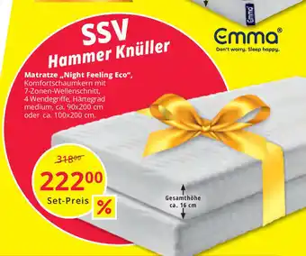 Hammer Matratze Night Feeling Eco Angebot