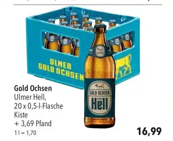 CITTI Markt Gold Ochsen 20*500 ml Angebot