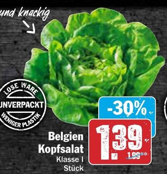 AEZ Belgien Kopfsalat Angebot