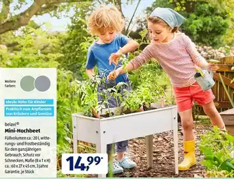 Aldi Süd belavi Mini Hochbeet Angebot