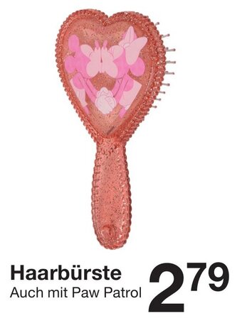 Zeeman Haarbürste Angebot