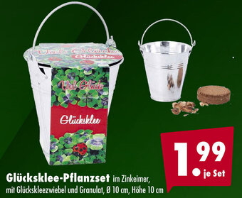 Mäc Geiz Glücksklee Pflanzset Angebot