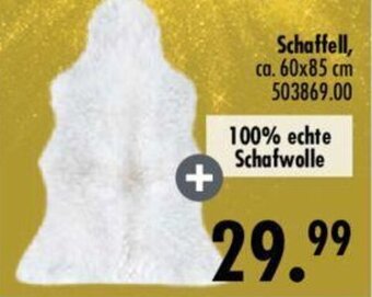 Möbel Boss Schaffell Angebot