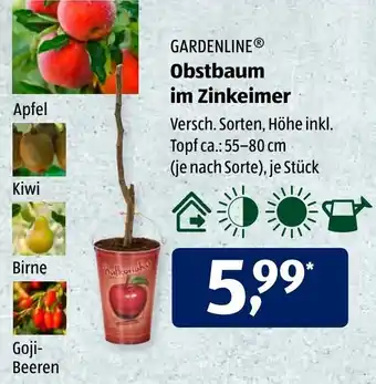 Aldi Süd Gardenline Obstbaum im Zinkeimer Angebot